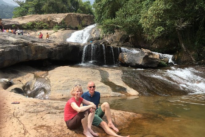 Wild Elephant Village( Anakulam) Life Tour ( by Munnar Info) - Tour Pricing and Booking Details