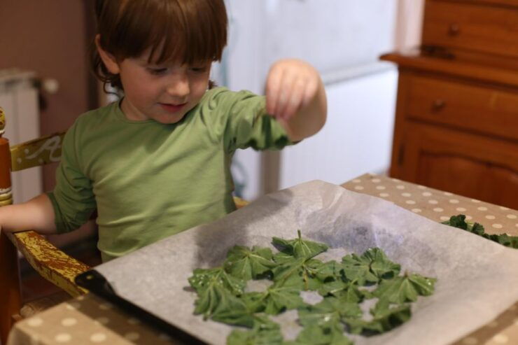 Wild Experience: Discover, Cook & Eat the Local Wild Flora - Guided Exploration of Wild Superfoods