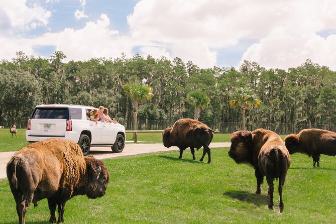 Wild Florida Drive-Thru Safari and Gator Park Admission - Self-guided Safari Experience