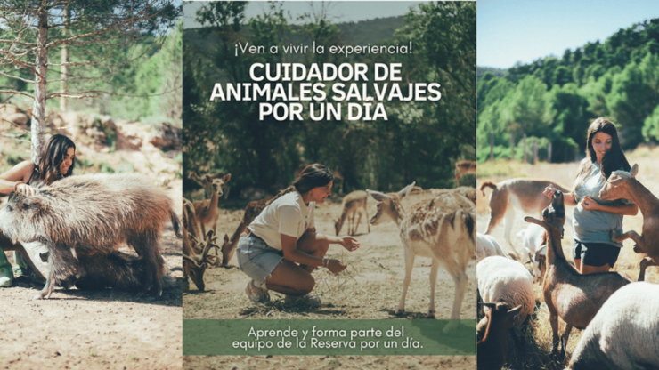 Wild Forest Reserve Foundation - Visit - Good To Know