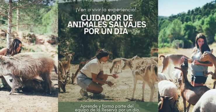 Wild Forest Reserve Foundation - Visit - Tour Experience and Activities