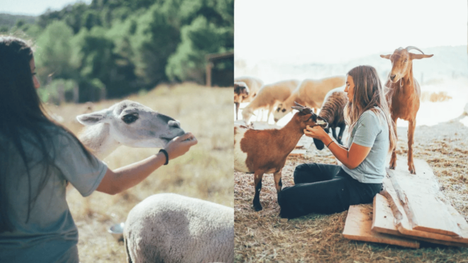 Wild Forest Reserve Foundation - Visit - Location and Meeting Point