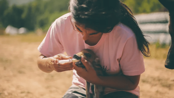 Wild Forest Reserve Foundation - Visit - Reservation and Cancellation Policy