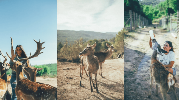 Wild Forest Reserve Foundation - Visit - Frequently Asked Questions