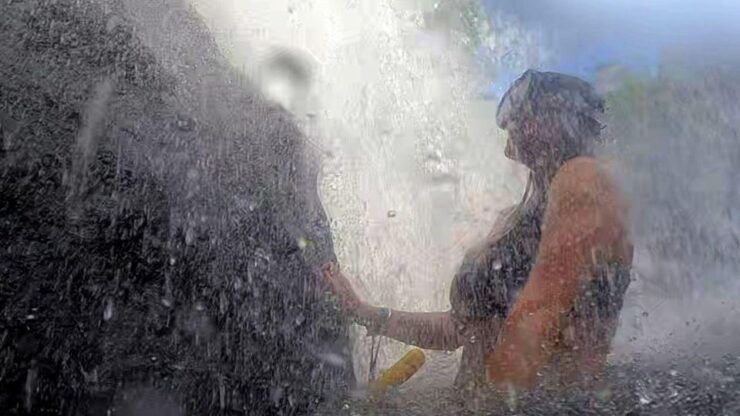 Wild & FREE - Tropical Summer Kakadu and Litchfield Imersion - Good To Know