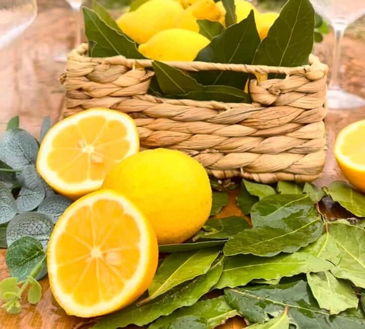 Wild Fruit Picking Experience at Hani i Qerosit - Exploring the Wild Fruit Foraging Tour at Hani i Qerosit