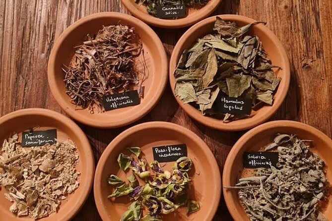 Wild Herb Picking Walking Tour in Nature Reserve De Rhoonse Grienden - The Art of Wild Herb Picking