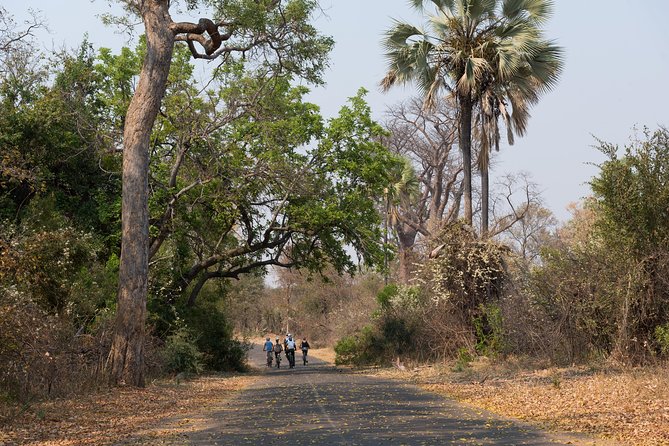 Wild Horizons Bike Tour (Zimbabwe) - Pricing and Booking Information