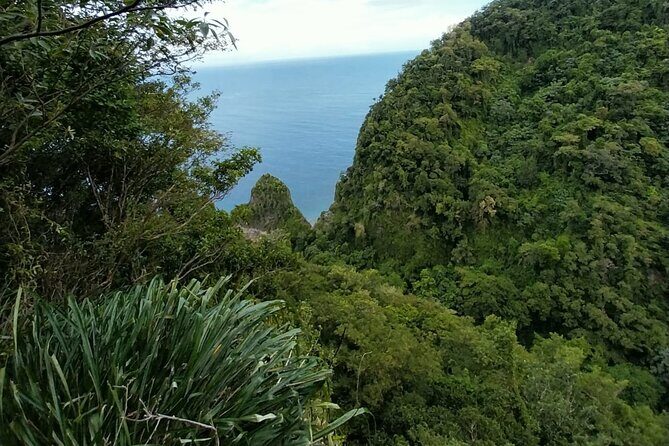 Wild Immersion: Hiking in the Heart of the Rainforest - Whats Included and Whats Not