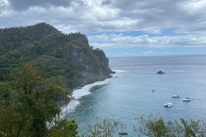 Wild Immersion: Hiking in the Heart of the Rainforest - Practical Tips for Planning Your Tour