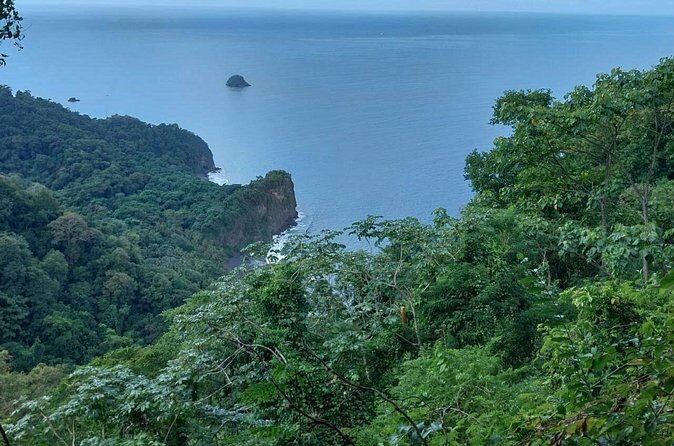 Wild Immersion: Hiking in the Heart of the Rainforest - Final Thoughts