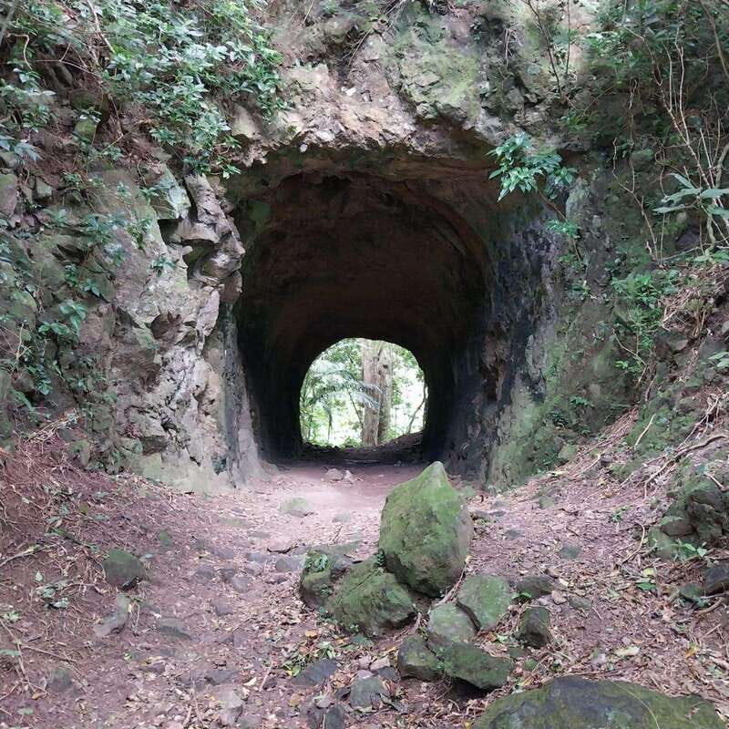 Wild Immersion : Hiking in the Heart of the Tropical Forest - Exploring the Full-Day Adventure