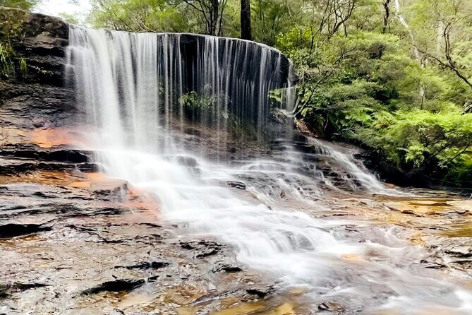 Wild Kangaroos, Blue Mountains and a Cruise - An In-Depth Look at the Tour Experience