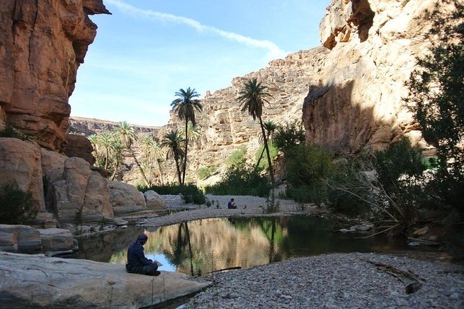 Wild Life Exploration - Wildlife Exploration Tour in Agadir