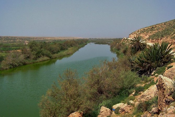 Wild Life Exploration - Tour Directions and Itinerary