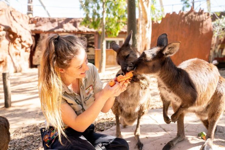WILD LIFE Sydney Zoo - Experience Highlights