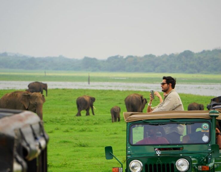Wild Majesty Half Day Safari Adventure at Hurulu Eco Park - Wildlife Encounters and Guided Tours