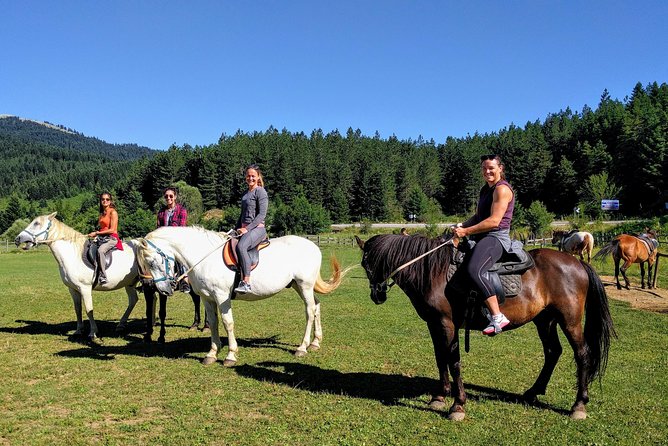 Wild Mountains & Rivers Adventure (7days-Private) - Common Questions