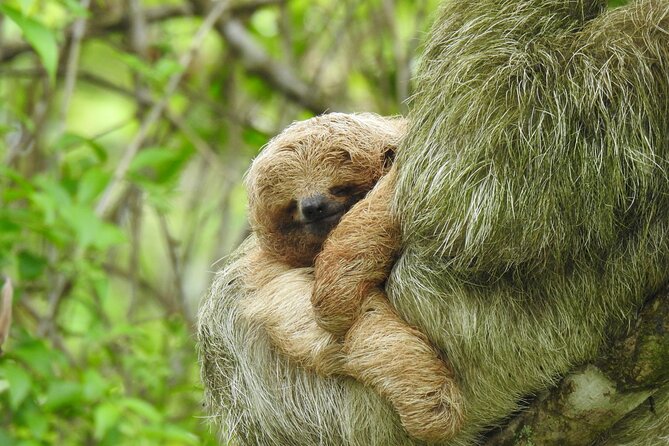 Wild Nature and Adventure Combo From Guanacaste - Good To Know