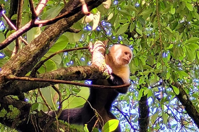 Wild Nature and Adventure Combo From Guanacaste - Traveler Restrictions