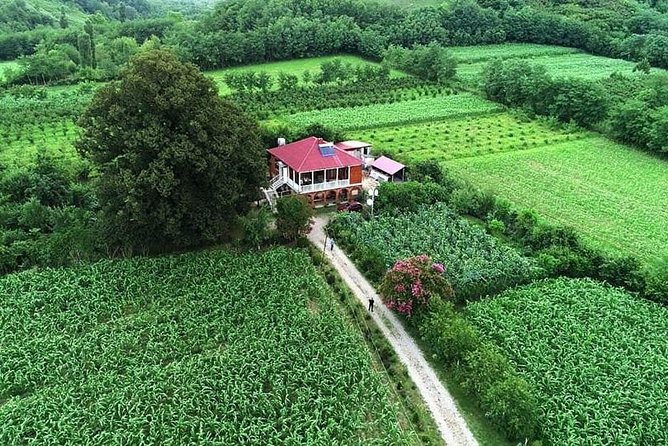 Wild Nature of Western Georgia - Rich Biodiversity and Wildlife Encounters