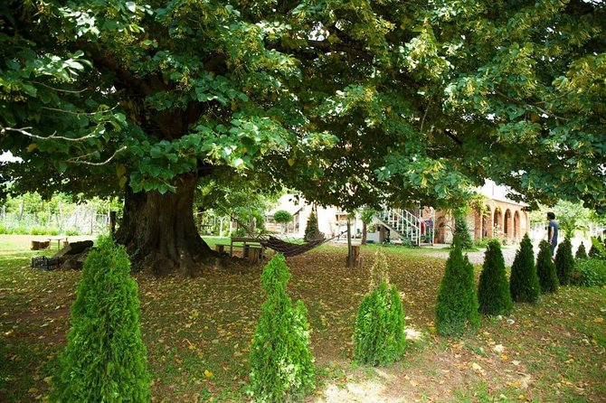 Wild Nature of Western Georgia - Cultural Highlights and Local Traditions