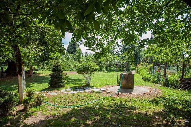 Wild Nature of Western Georgia - Practical Tips for a Memorable Trip