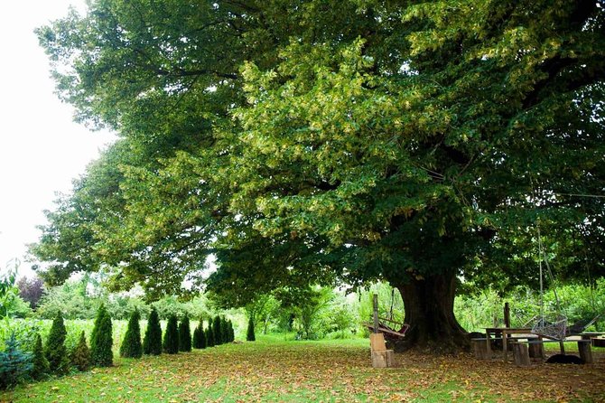 Wild Nature of Western Georgia - The Sum Up