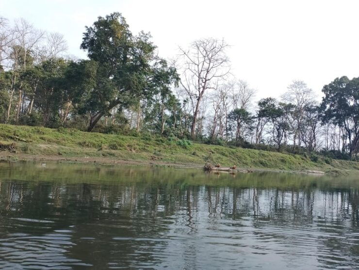 Wild Nights: Tower Stay in Chitwan National Park - Exciting Wildlife Encounters