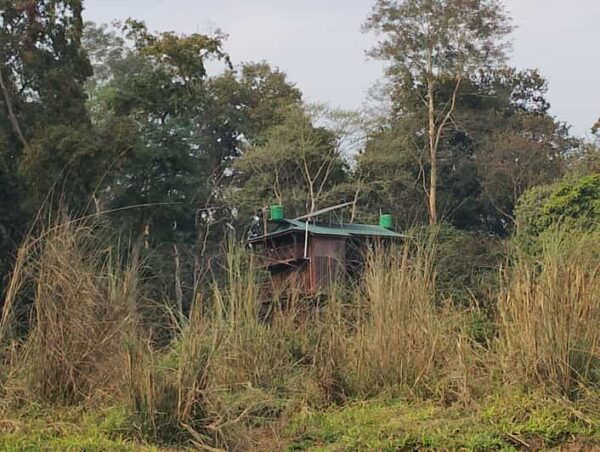 Wild Nights: Tower Stay in Chitwan National Park - Packing Essentials