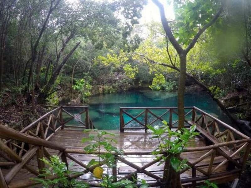 Wild On Punta Cana: Cruise with Snorkeling Half Day - Final Thoughts on the Tours Value