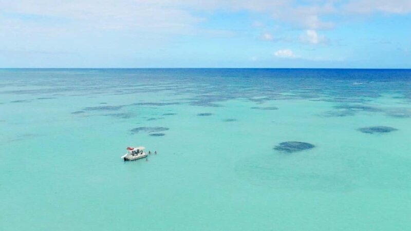 Wild On Punta Cana: Cruise with Snorkeling Half Day - Who Should Consider This Tour?