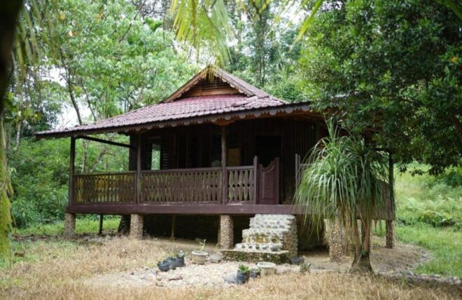 Wild Orangutan Trek: 2-Day Adventure in Gunung Leuser Park - Inclusions and Exclusions