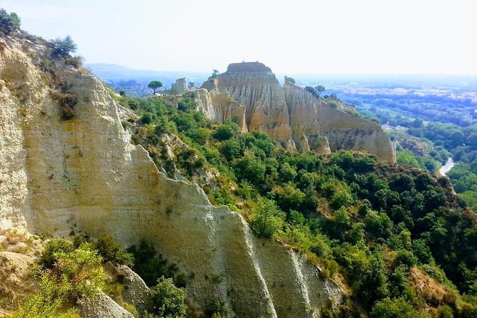 Wild Organs: Grand Landscape, Plants, Geology, Birdsongs - Melodic Birdlife