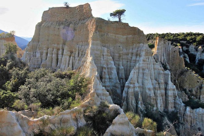 Wild Organs: Grand Landscape, Plants, Geology, Birdsongs - Common Questions