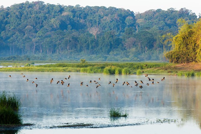 Wild Private Nam Cat Tien National Park 2 Days 1 Night - Outdoor Activities in Nam Cat Tien National Park