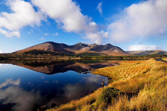 Wild Red Deer Viewing Safari, Connemara. Guided 3hrs - Contact Information
