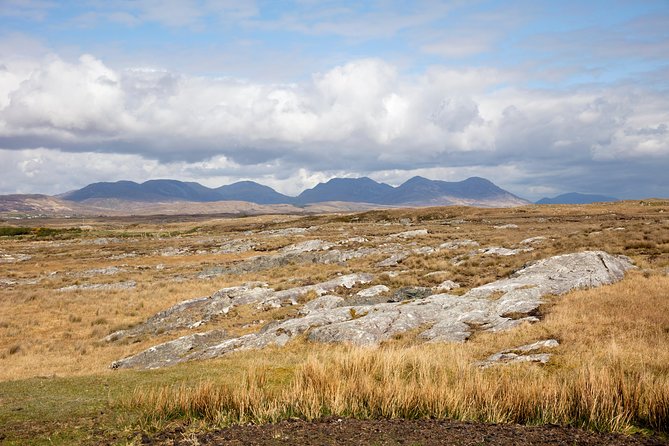Wild Red Deer Viewing Safari, Connemara. Guided 3hrs - Common Questions