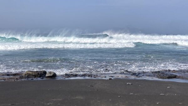 Wild Romantic Beaches - West Coast Guided Walk - Experience Highlights