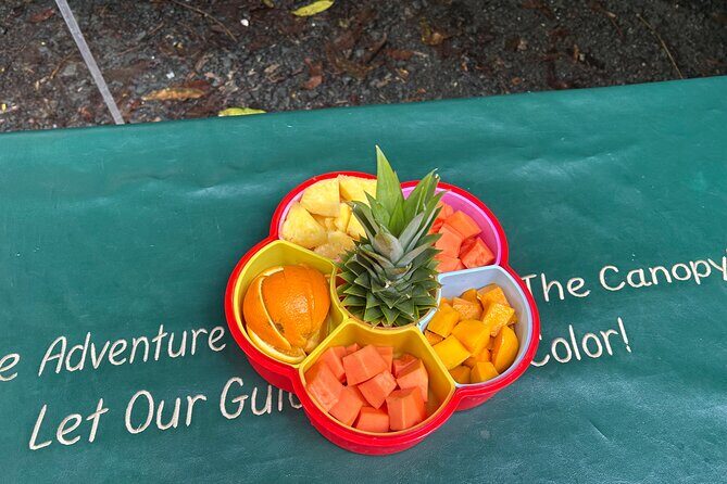 Wild & Scenic Rainforest Nature Walk (Day Time River & Swim) - Who Would Love This Tour?