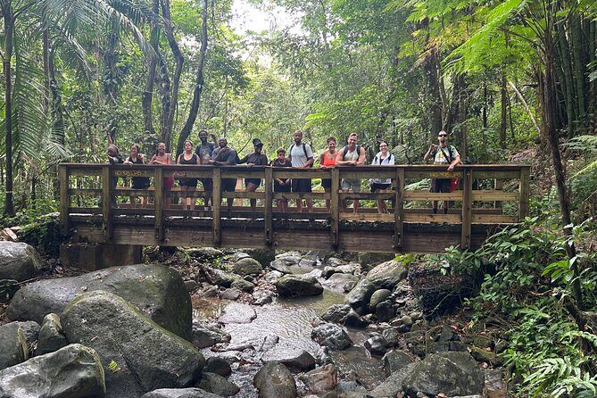 Wild & Scenic Rainforest Nature Walk (Day Time River & Swim) - Final Thoughts