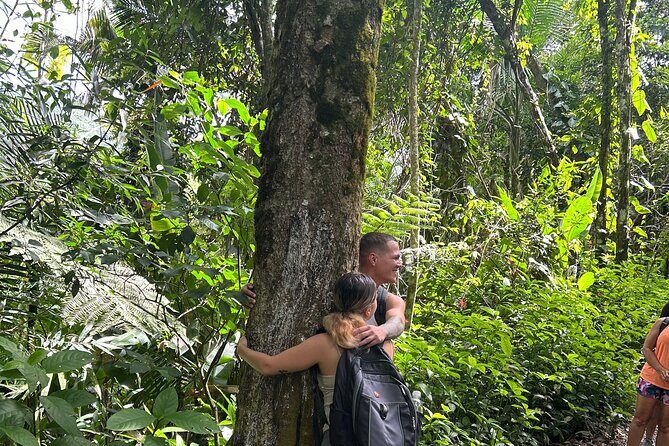 Wild & Scenic Rainforest Nature Walk (Day Time River & Swim) - FAQs