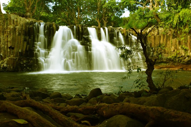 Wild Southern 18km - Price and Booking
