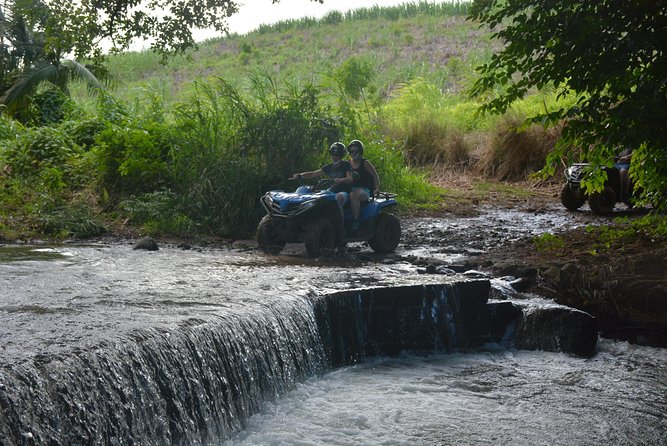 Wild Southern 18km - Reviews