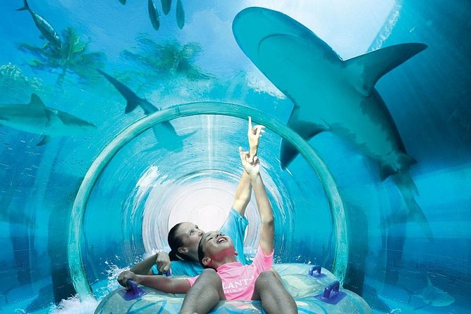 Wild Wadi Water Park in Dubai With 2 Way Transfer - Lowest Price Guarantee