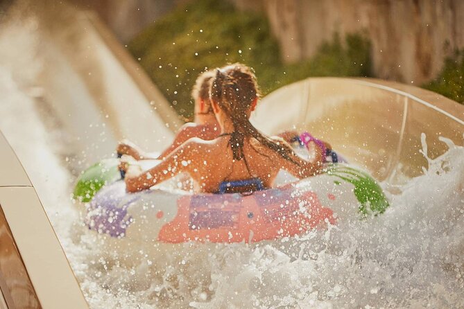 Wild Wadi Waterpark Dubai Ticket With Private Transfer - Expectations and Accessibility at the Waterpark