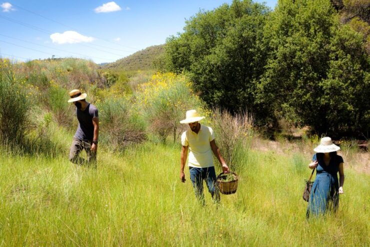 Wild Walk: Discover the Local Wild Flora - Activity Duration and Flexibility
