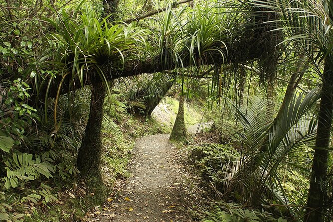 Wild West Coast & Black Sand Beach Tour Incl Craft Beer Brewery Lunch & Tasting - Tour Highlights