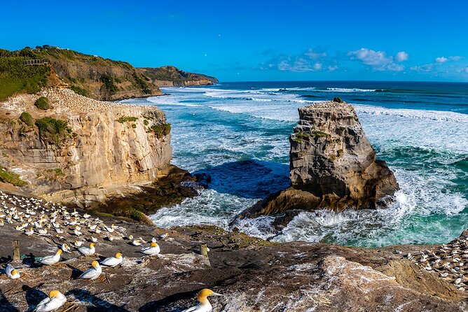 Wild West Coast & Black Sand Beach Tour Incl Craft Beer Brewery Lunch & Tasting - Gratuities Covered