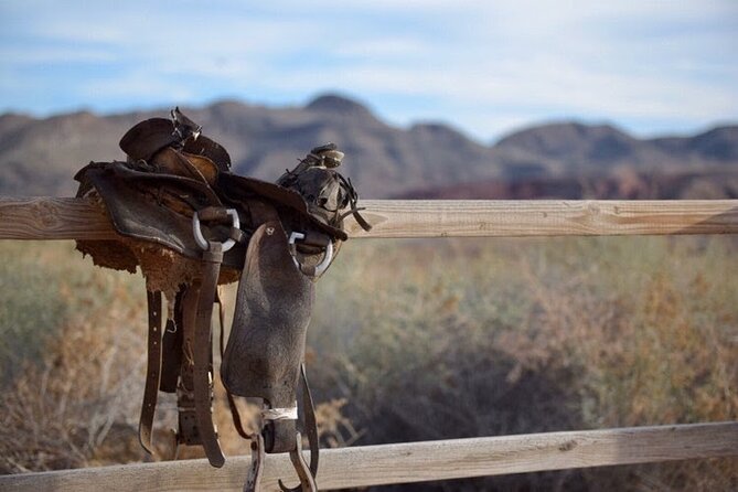 Wild West Sunset Horseback Ride With Dinner From Las Vegas - Positive Reviews and Feedback